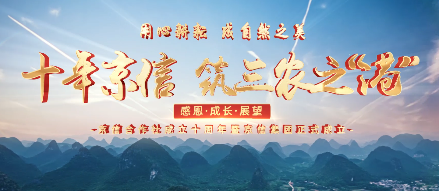 京信十周年特别版