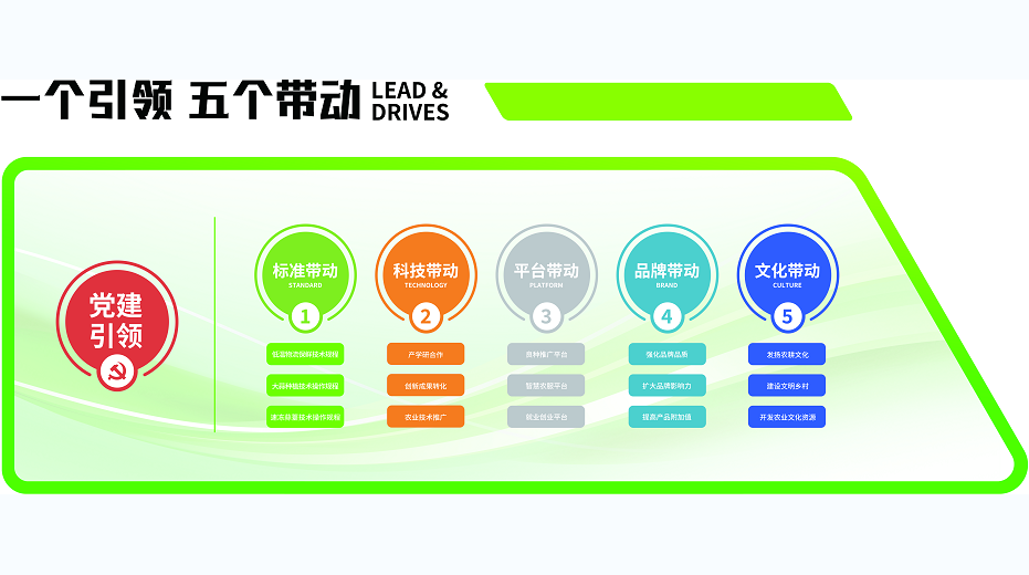 育苗是什么？有哪些关键要素？
