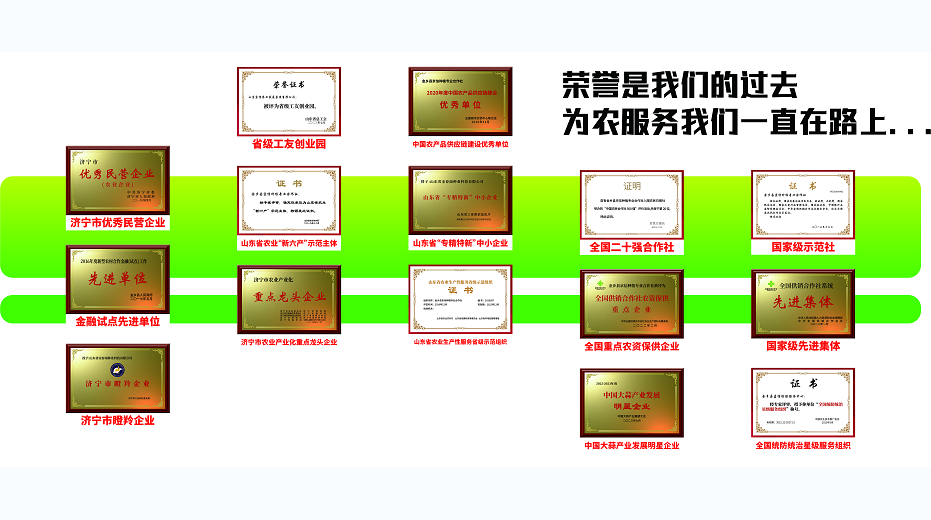 种子的创新研发与农业可持续发展之路